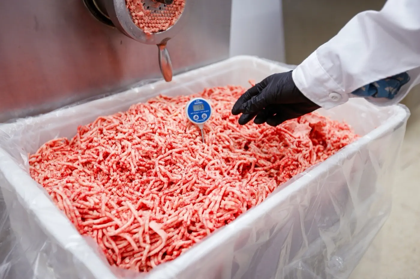 Producción Kalbby congelado