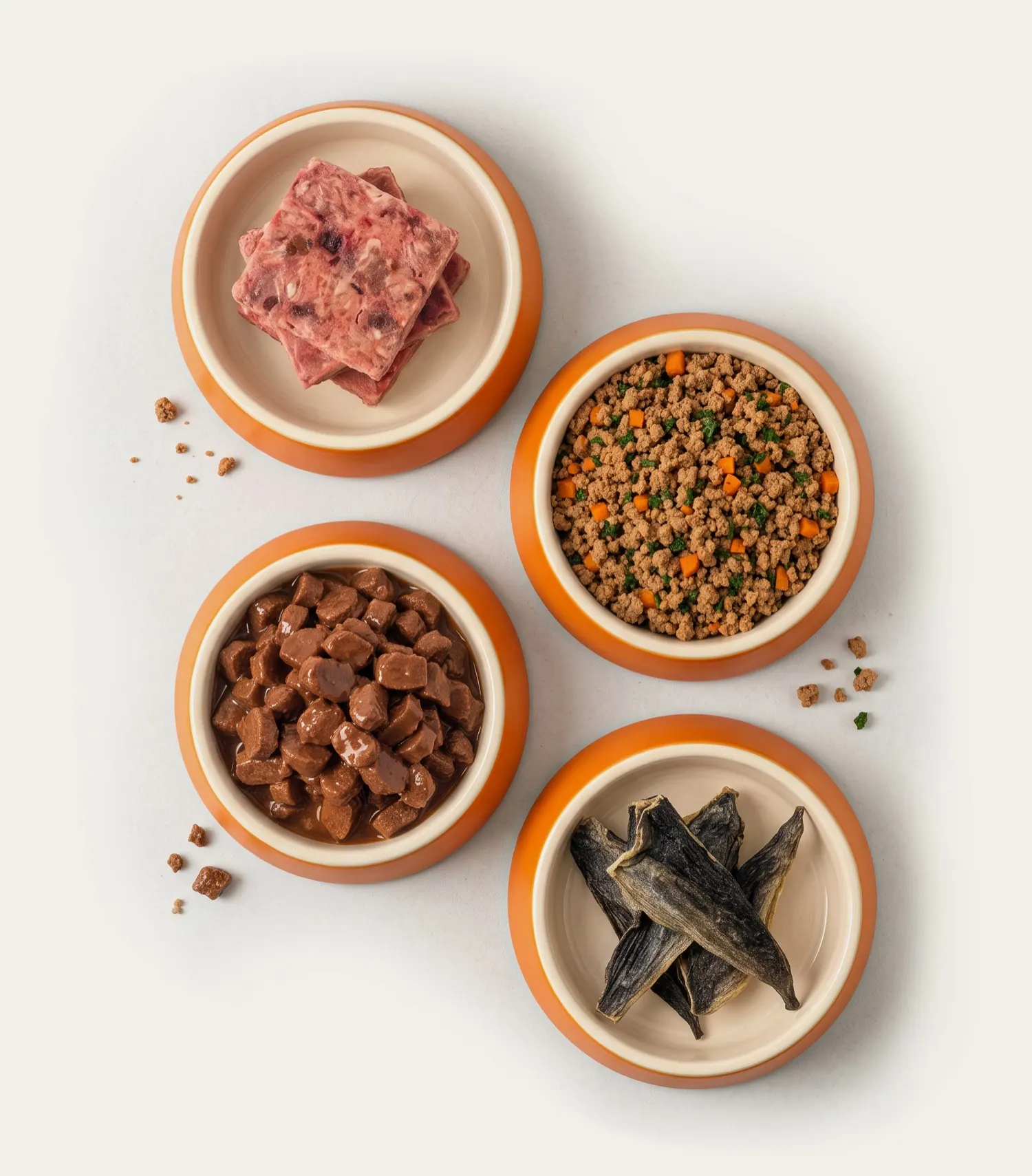 Cuatro bowls vistos desde arriba: alimento crudo, cocido, húmedo y snacks deshidratados