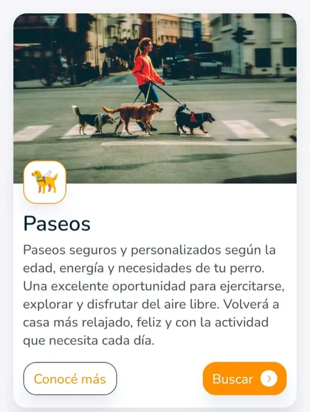 Ficha de Paseos