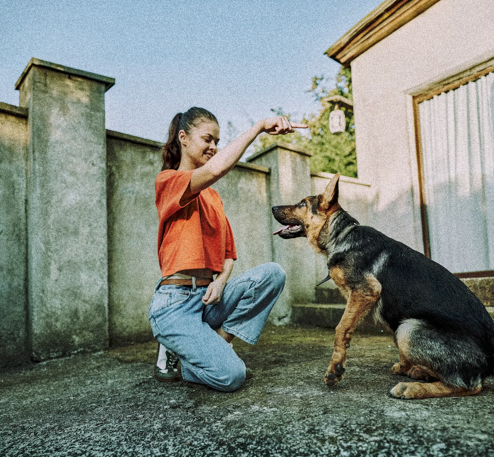 Entrenadora trabajando con un perro
