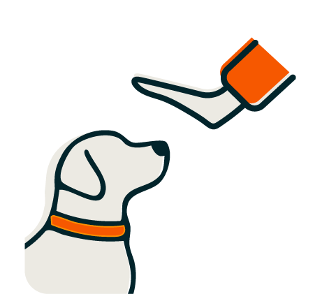 Perro atento a la mano de su entrenador