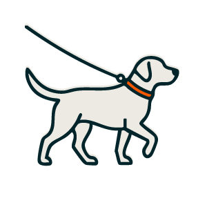 Perro paseando